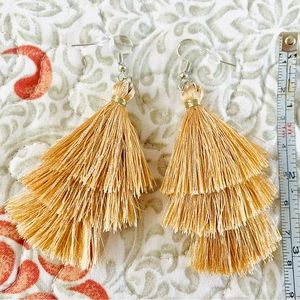 Gold Fringe Fishhook Earrings